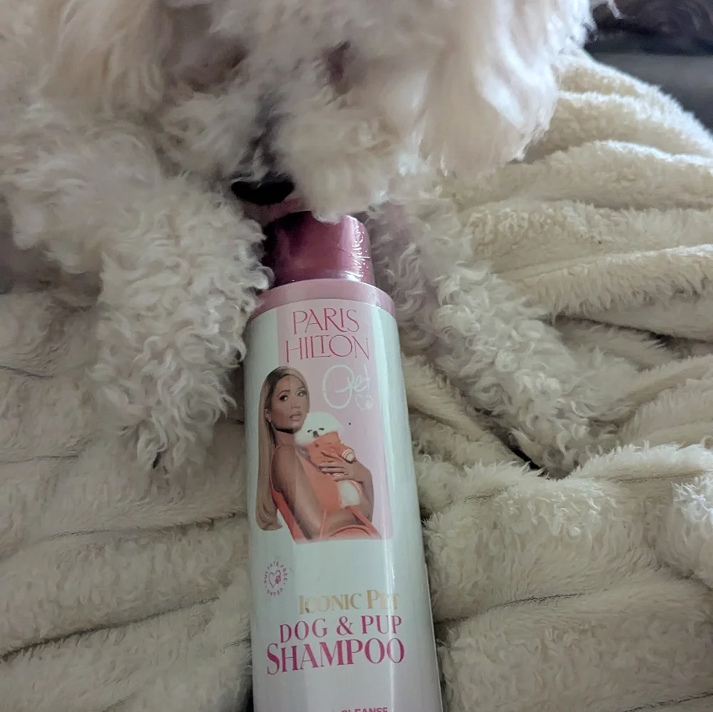 Paris Hilton Iconic Pet Dog & Pup Shampoo - Pink
